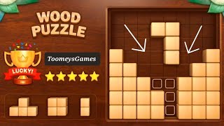 Wood Block Puzzle 3D - Classic Block Puzzle Game! screenshot 2